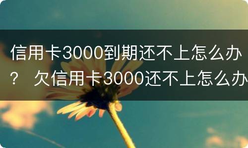 信用卡3000到期还不上怎么办？ 欠信用卡3000还不上怎么办
