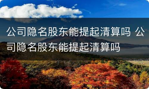 公司隐名股东能提起清算吗 公司隐名股东能提起清算吗