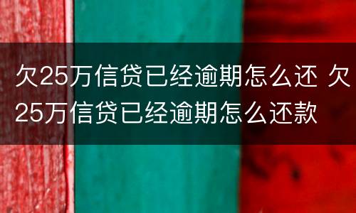 欠25万信贷已经逾期怎么还 欠25万信贷已经逾期怎么还款