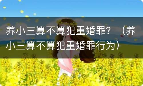 养小三算不算犯重婚罪？（养小三算不算犯重婚罪行为）