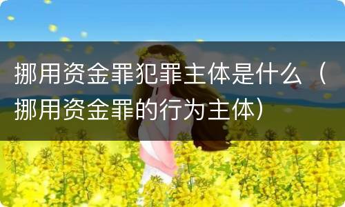 挪用资金罪犯罪主体是什么（挪用资金罪的行为主体）
