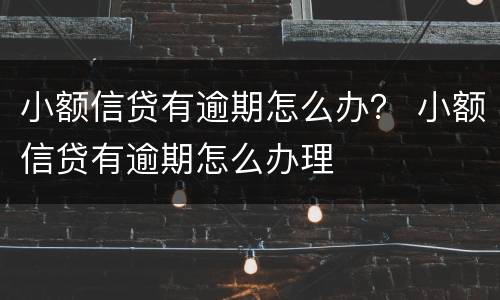 小额信贷有逾期怎么办？ 小额信贷有逾期怎么办理
