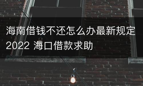 海南借钱不还怎么办最新规定2022 海口借款求助