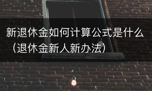 新退休金如何计算公式是什么（退休金新人新办法）