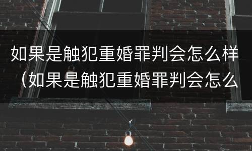 如果是触犯重婚罪判会怎么样（如果是触犯重婚罪判会怎么样处理）