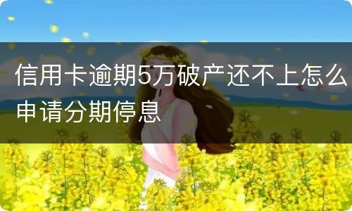 信用卡逾期5万破产还不上怎么申请分期停息
