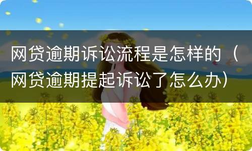 网贷逾期诉讼流程是怎样的（网贷逾期提起诉讼了怎么办）