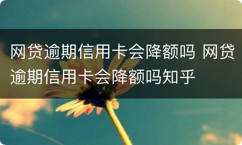 网贷逾期信用卡会降额吗 网贷逾期信用卡会降额吗知乎
