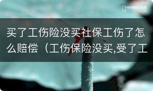 买了工伤险没买社保工伤了怎么赔偿（工伤保险没买,受了工伤可以走医保吗）