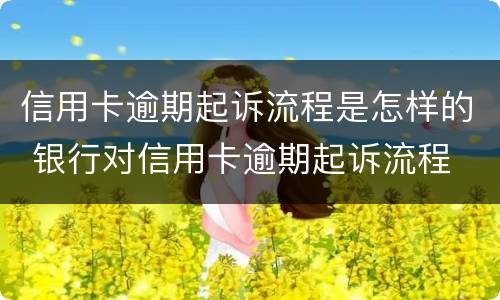 信用卡逾期起诉流程是怎样的 银行对信用卡逾期起诉流程