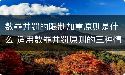 数罪并罚的限制加重原则是什么 适用数罪并罚原则的三种情况