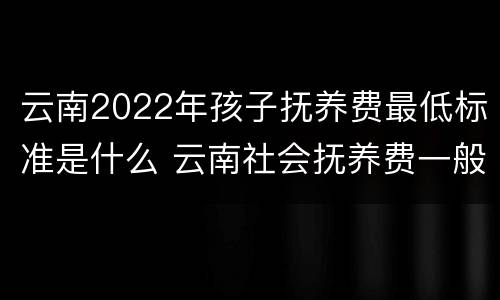 云南2022年孩子抚养费最低标准是什么 云南社会抚养费一般多少钱