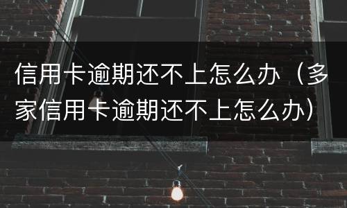 信用卡逾期还不上怎么办（多家信用卡逾期还不上怎么办）