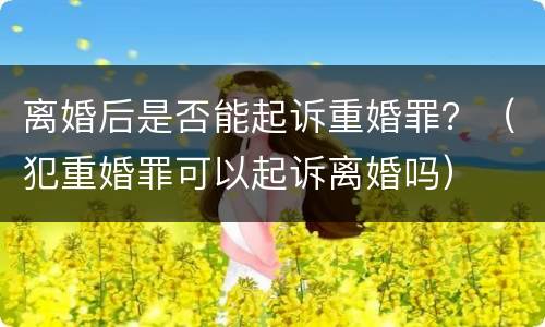离婚后是否能起诉重婚罪？（犯重婚罪可以起诉离婚吗）
