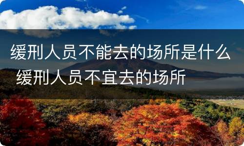 缓刑人员不能去的场所是什么 缓刑人员不宜去的场所