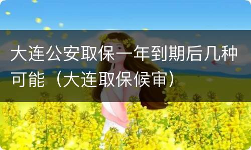 大连公安取保一年到期后几种可能（大连取保候审）