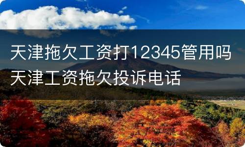 天津拖欠工资打12345管用吗 天津工资拖欠投诉电话