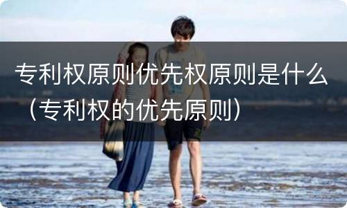 专利权原则优先权原则是什么（专利权的优先原则）
