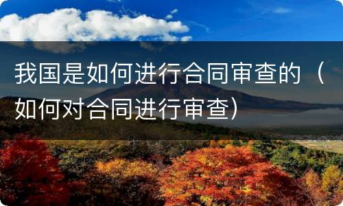 我国是如何进行合同审查的（如何对合同进行审查）