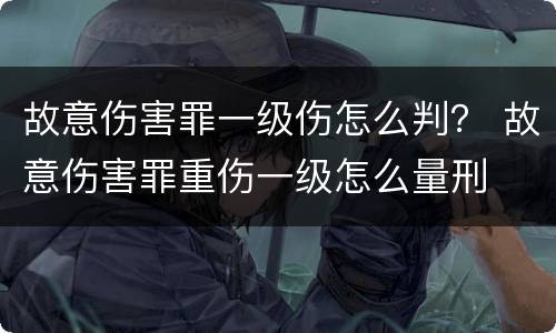 故意伤害罪一级伤怎么判？ 故意伤害罪重伤一级怎么量刑