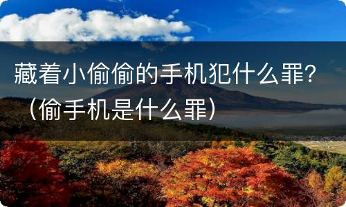 藏着小偷偷的手机犯什么罪？（偷手机是什么罪）