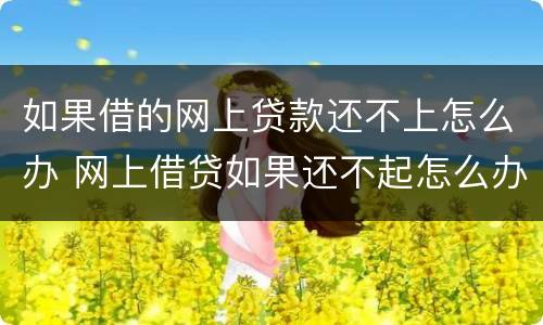如果借的网上贷款还不上怎么办 网上借贷如果还不起怎么办