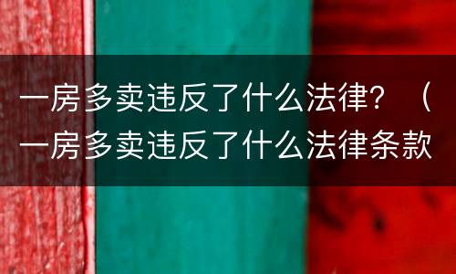 一房多卖违反了什么法律？（一房多卖违反了什么法律条款）