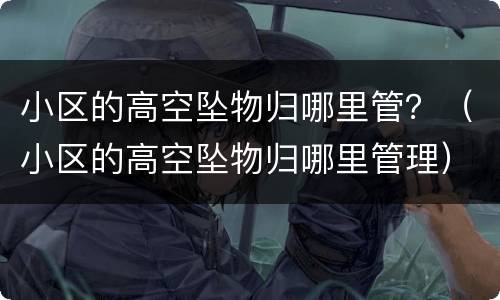 小区的高空坠物归哪里管？（小区的高空坠物归哪里管理）