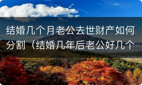 结婚几个月老公去世财产如何分割（结婚几年后老公好几个月没同房）