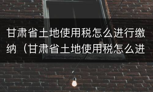 甘肃省土地使用税怎么进行缴纳（甘肃省土地使用税怎么进行缴纳申报）