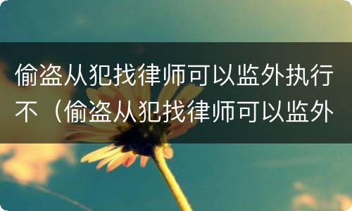 偷盗从犯找律师可以监外执行不（偷盗从犯找律师可以监外执行不拘留吗）