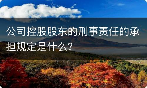 公司控股股东的刑事责任的承担规定是什么？