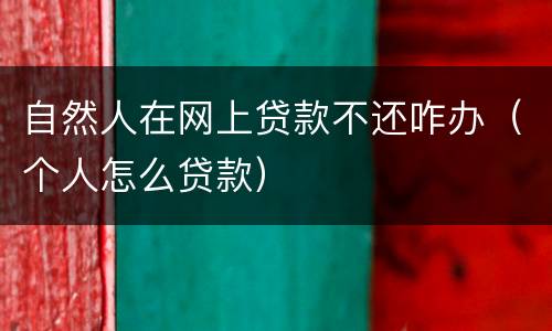自然人在网上贷款不还咋办（个人怎么贷款）