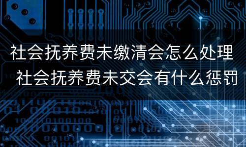 社会抚养费未缴清会怎么处理 社会抚养费未交会有什么惩罚