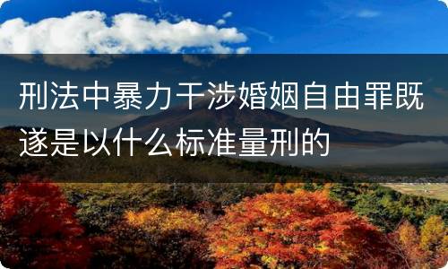 刑法中暴力干涉婚姻自由罪既遂是以什么标准量刑的
