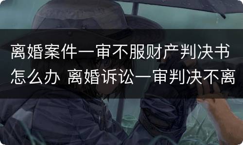 离婚案件一审不服财产判决书怎么办 离婚诉讼一审判决不离婚