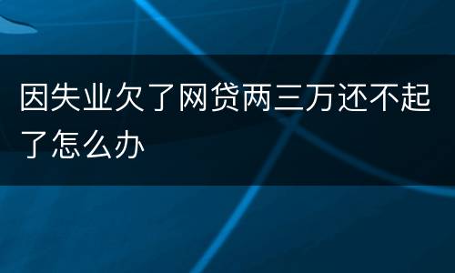 因失业欠了网贷两三万还不起了怎么办