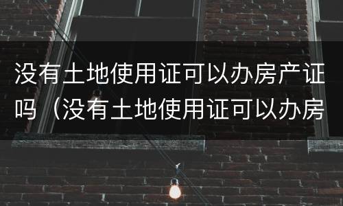 没有土地使用证可以办房产证吗（没有土地使用证可以办房产证吗）