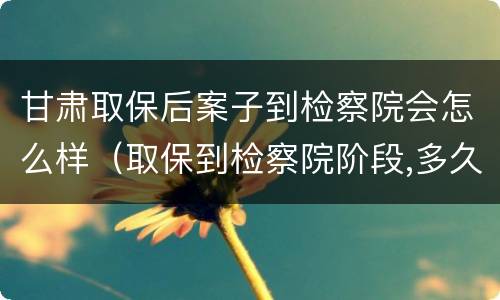 甘肃取保后案子到检察院会怎么样（取保到检察院阶段,多久会找你?）