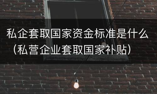 私企套取国家资金标准是什么（私营企业套取国家补贴）