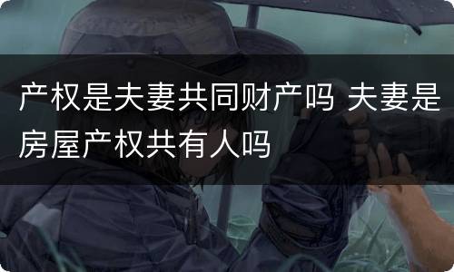 产权是夫妻共同财产吗 夫妻是房屋产权共有人吗