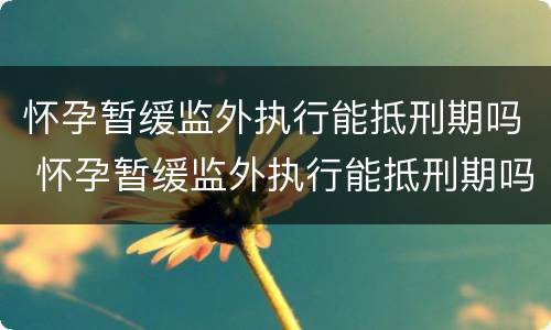 怀孕暂缓监外执行能抵刑期吗 怀孕暂缓监外执行能抵刑期吗怎么办