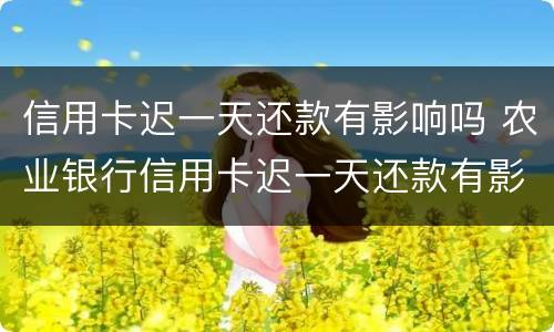 信用卡迟一天还款有影响吗 农业银行信用卡迟一天还款有影响吗