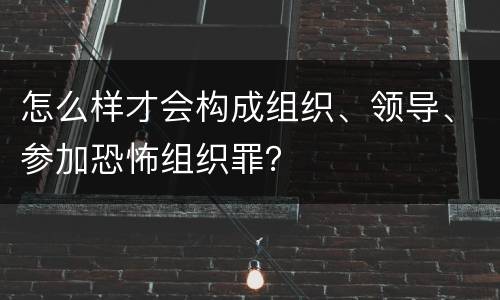 怎么样才会构成组织、领导、参加恐怖组织罪？