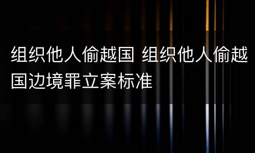 组织他人偷越国 组织他人偷越国边境罪立案标准