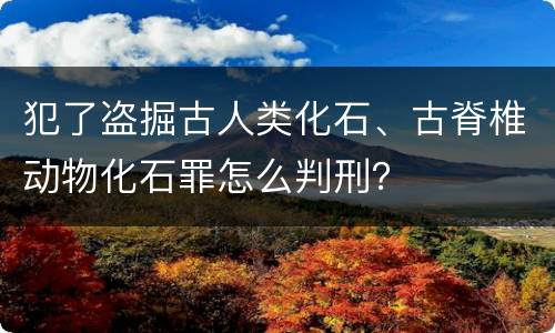 犯了盗掘古人类化石、古脊椎动物化石罪怎么判刑？