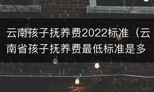 云南孩子抚养费2022标准（云南省孩子抚养费最低标准是多少）