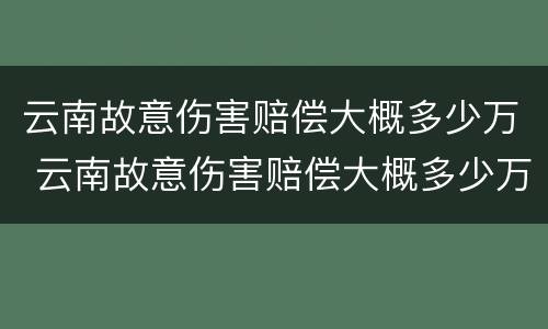 云南故意伤害赔偿大概多少万 云南故意伤害赔偿大概多少万元