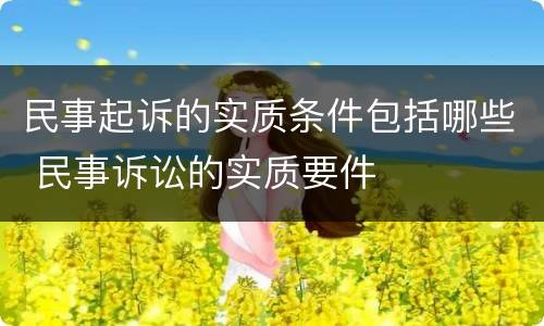 民事起诉的实质条件包括哪些 民事诉讼的实质要件