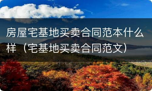 房屋宅基地买卖合同范本什么样（宅基地买卖合同范文）